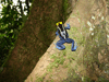 POISON FROG 